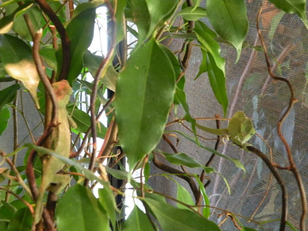 DSCN7862.jpg