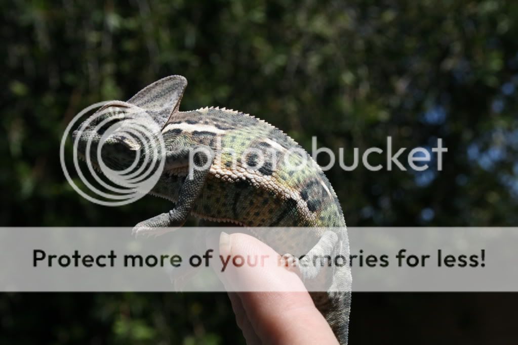 eospics9-19-09004-12.jpg