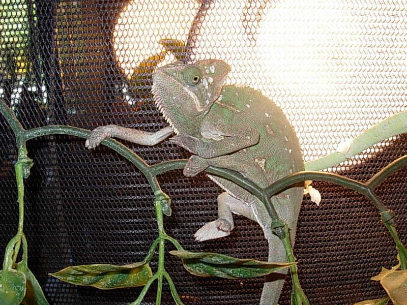 DSCN3704.jpg