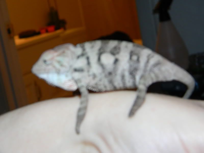 DSCN0874.jpg