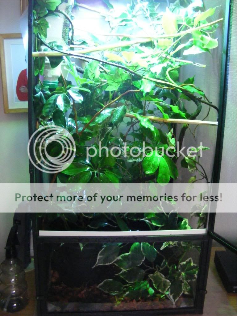 008-1_zps2c63cbbb.jpg