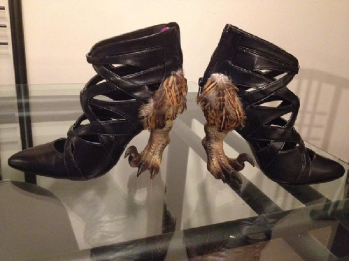 raptor%20shoes%20are%20best.png