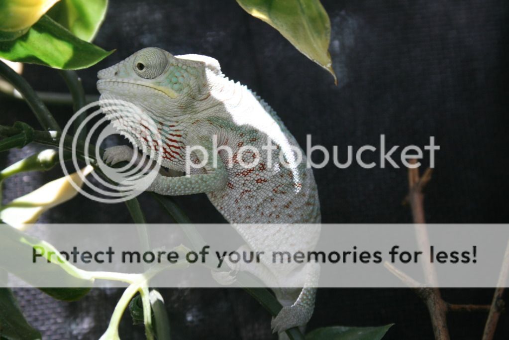 outsidepics007.jpg