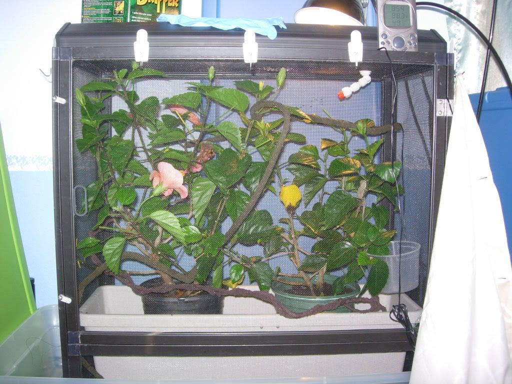 DSCN1329.jpg