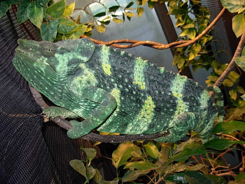 DSCN7536.jpg