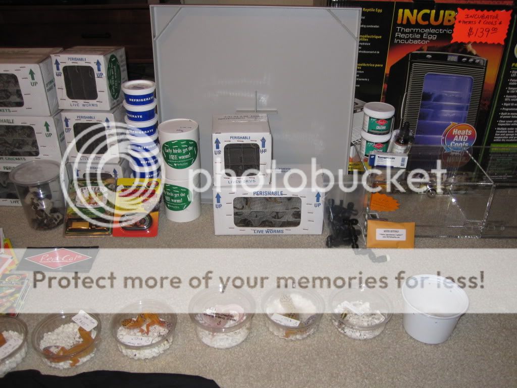 NarbcStuff2011006.jpg