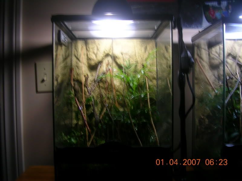 DSCN3433.jpg