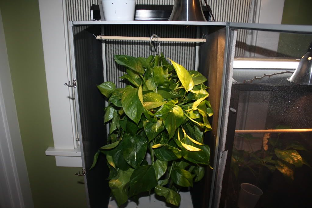 january302011023.jpg