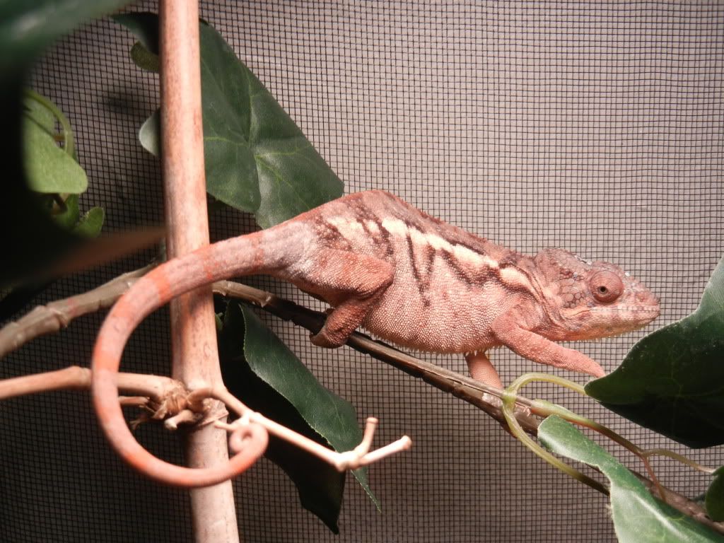DSCN1562.jpg