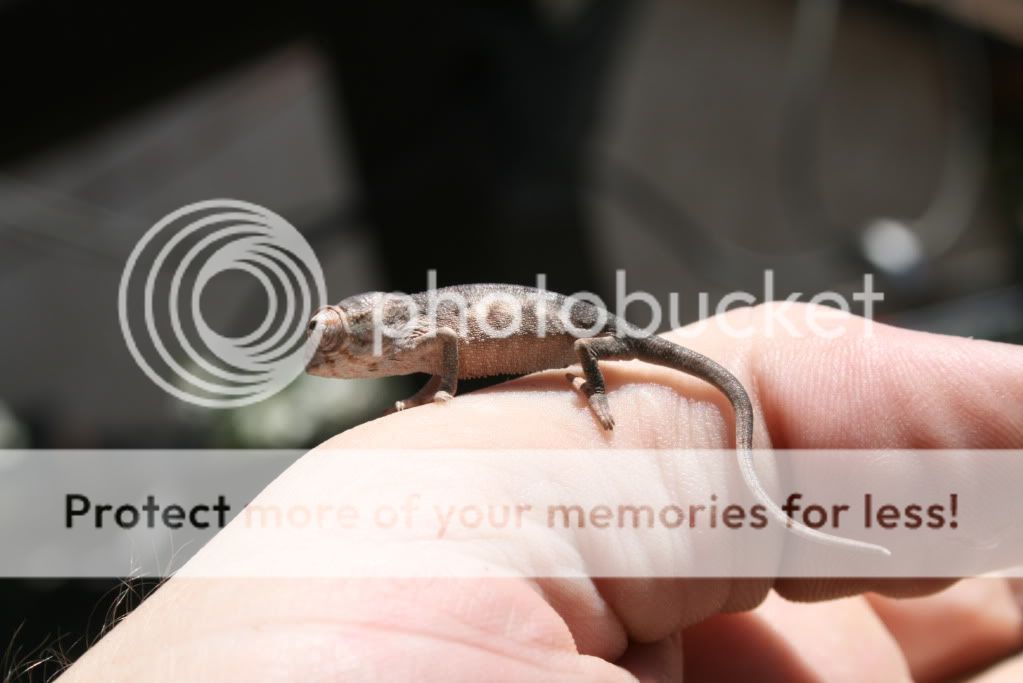 eospics9-19-09020-3.jpg