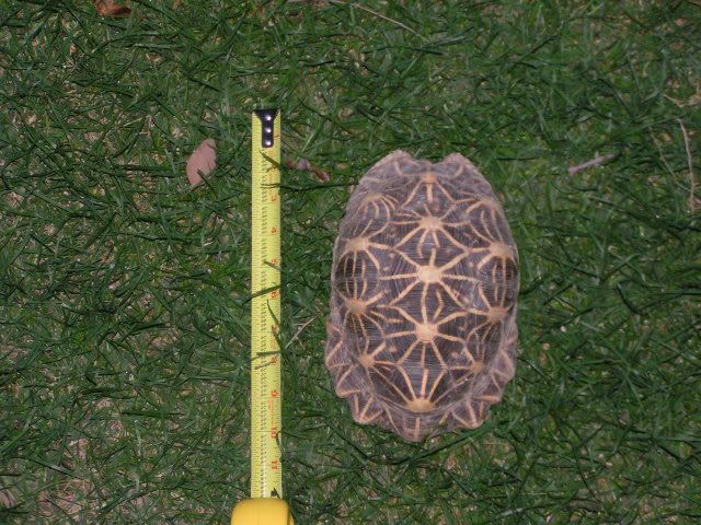 PICT0320.jpg