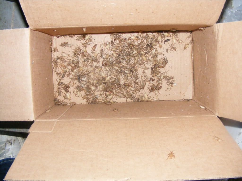 DSCF7027.jpg