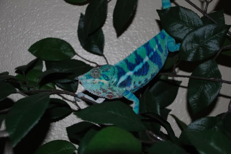 DSC_0059.jpg