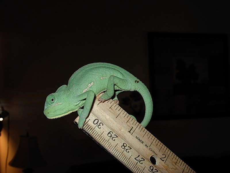 DSCN2830.jpg