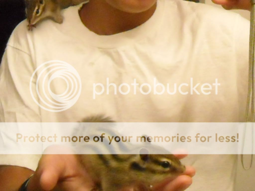 Camera161.jpg