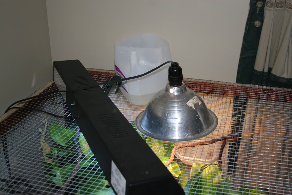 Picture203.jpg