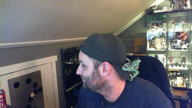 17125970032_6551eea98d_z.jpg