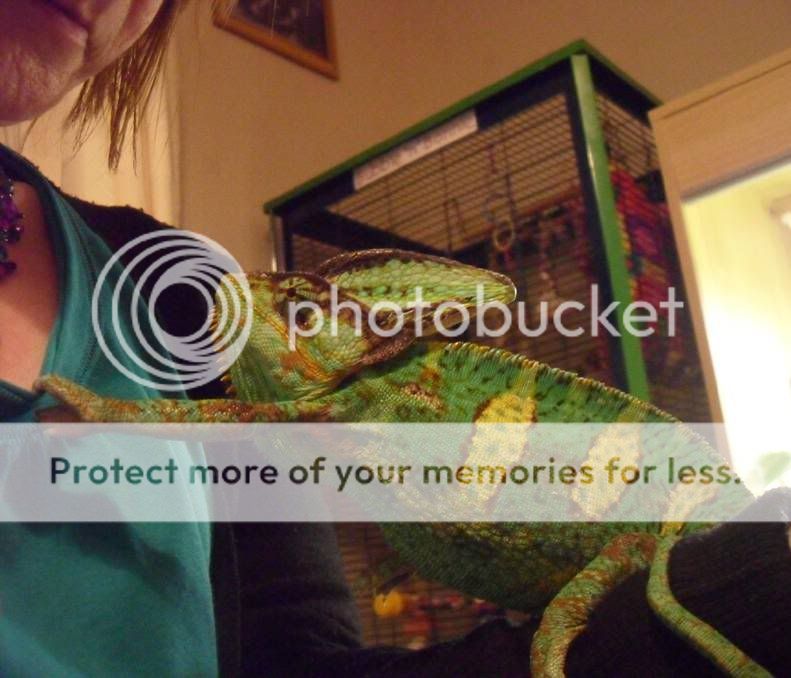 MyNewMum.jpg