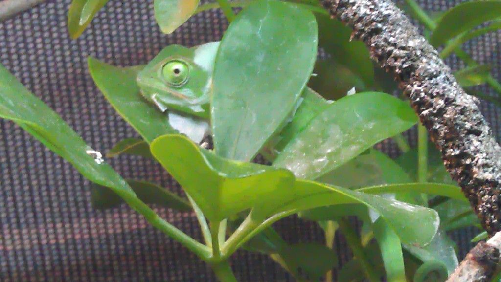 IMAG0260.jpg