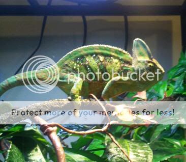 2011-12-29171524-1.jpg
