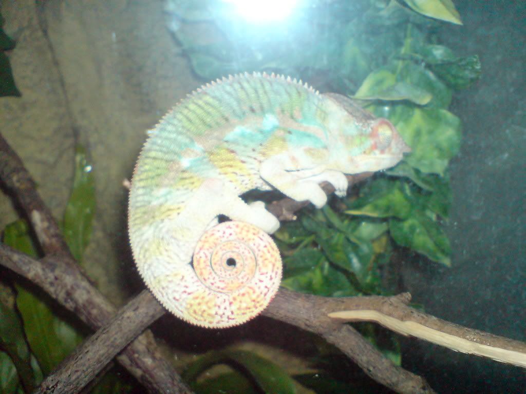 DSC01669.jpg