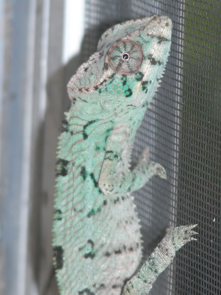 LloydWindow1.jpg