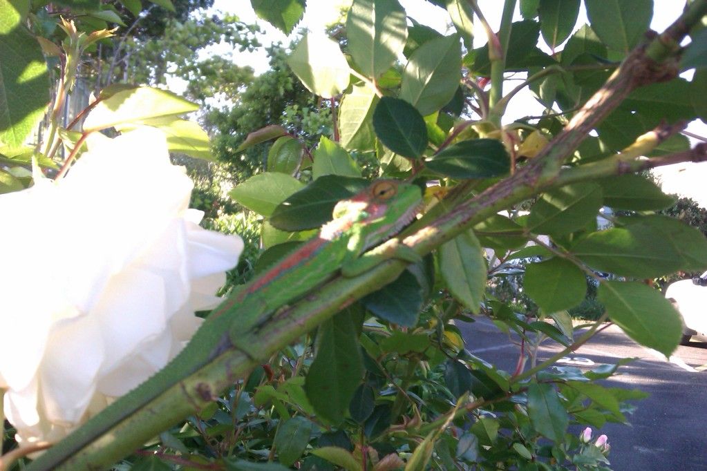 IMAG0592.jpg