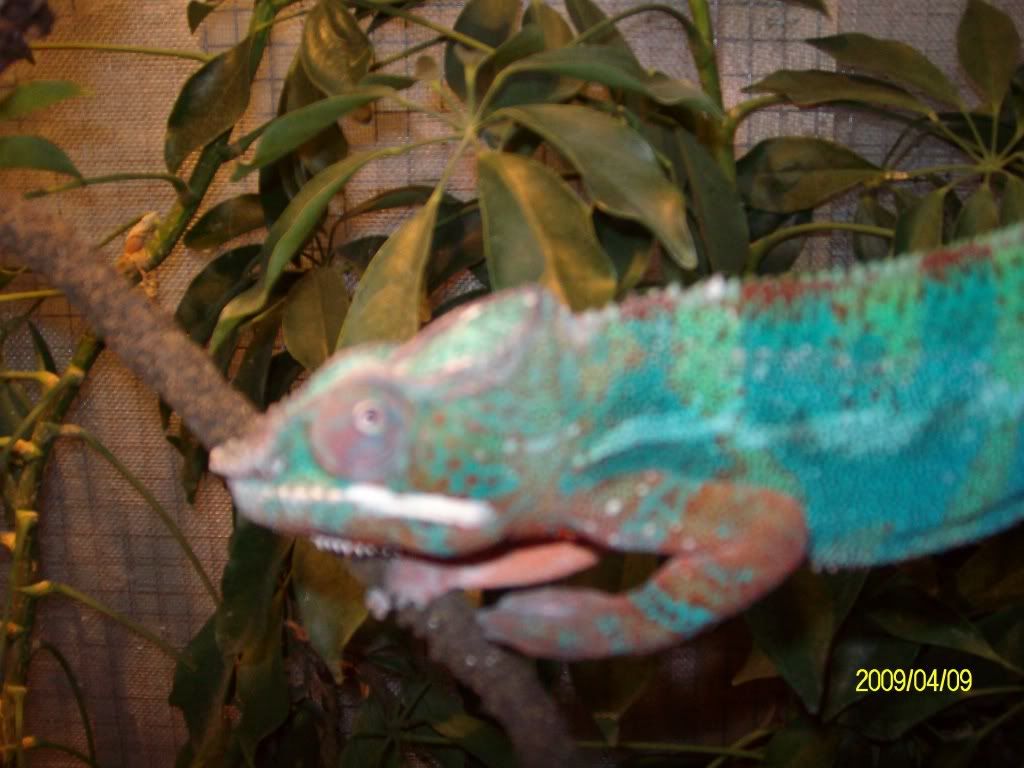 SANY1003.jpg