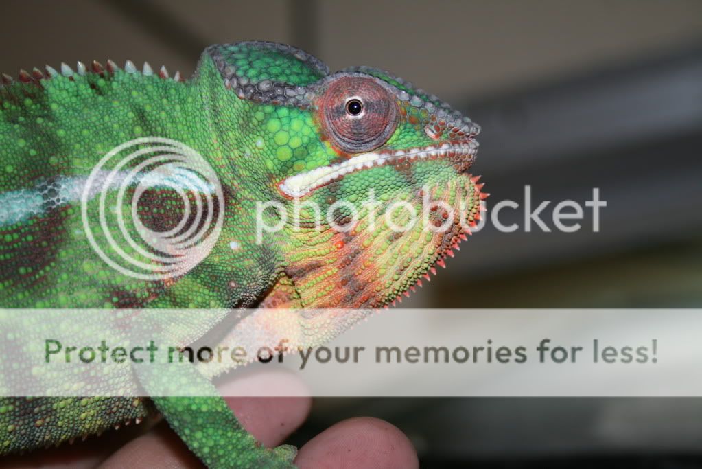 picsfromtoday023.jpg