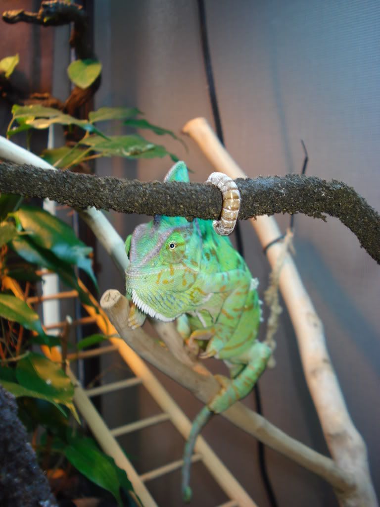 DSC05761.jpg