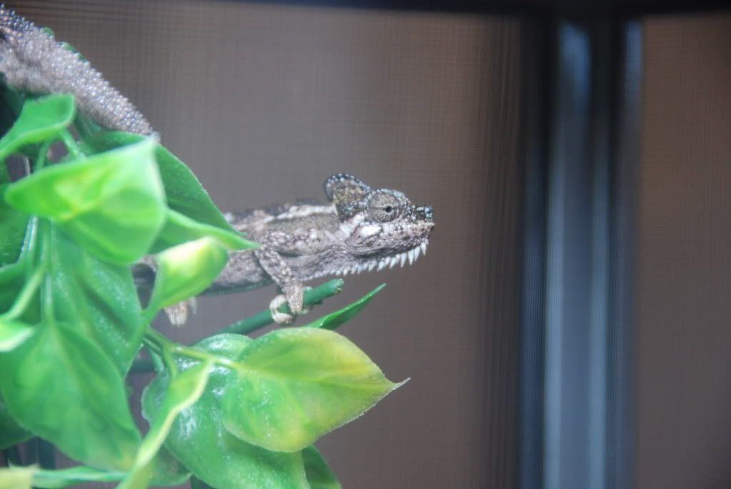 summer20111220.jpg