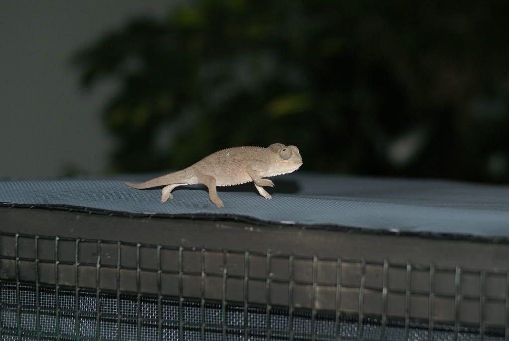 DSC07233.jpg
