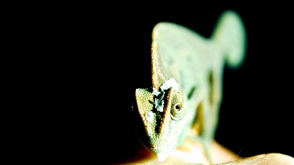 DSC_0775.jpg