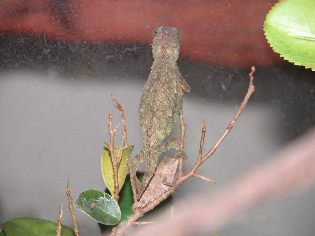 DSCN9448.jpg