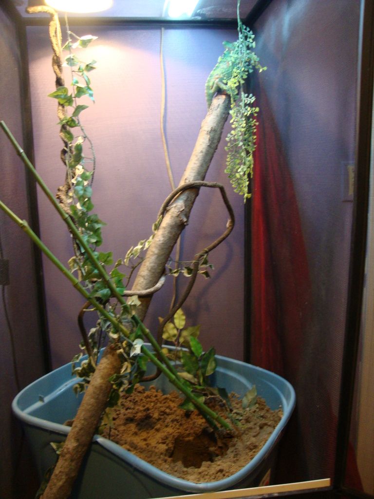 DSC02803.jpg