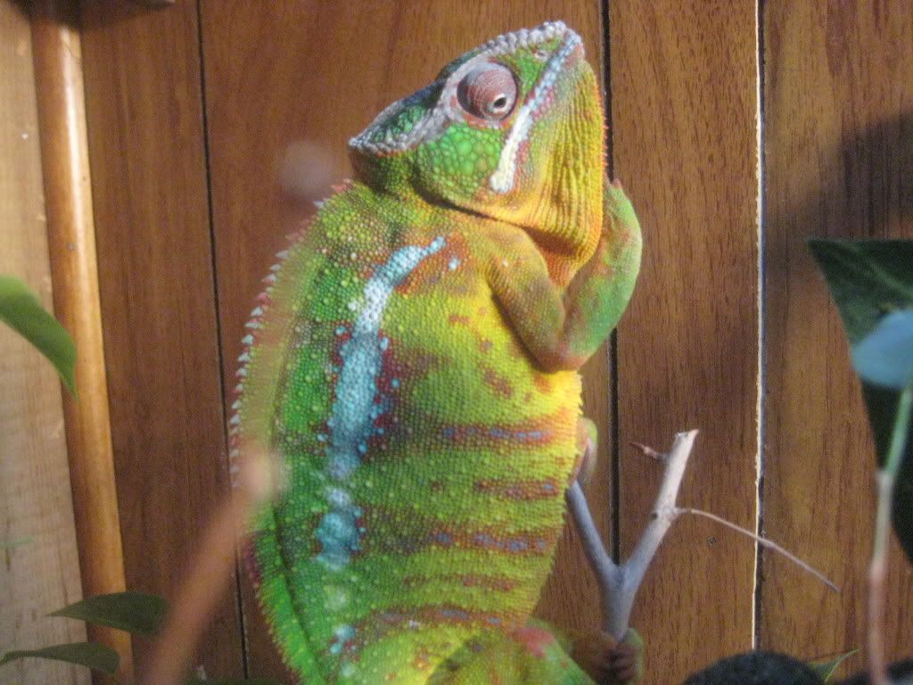 Picture586.jpg
