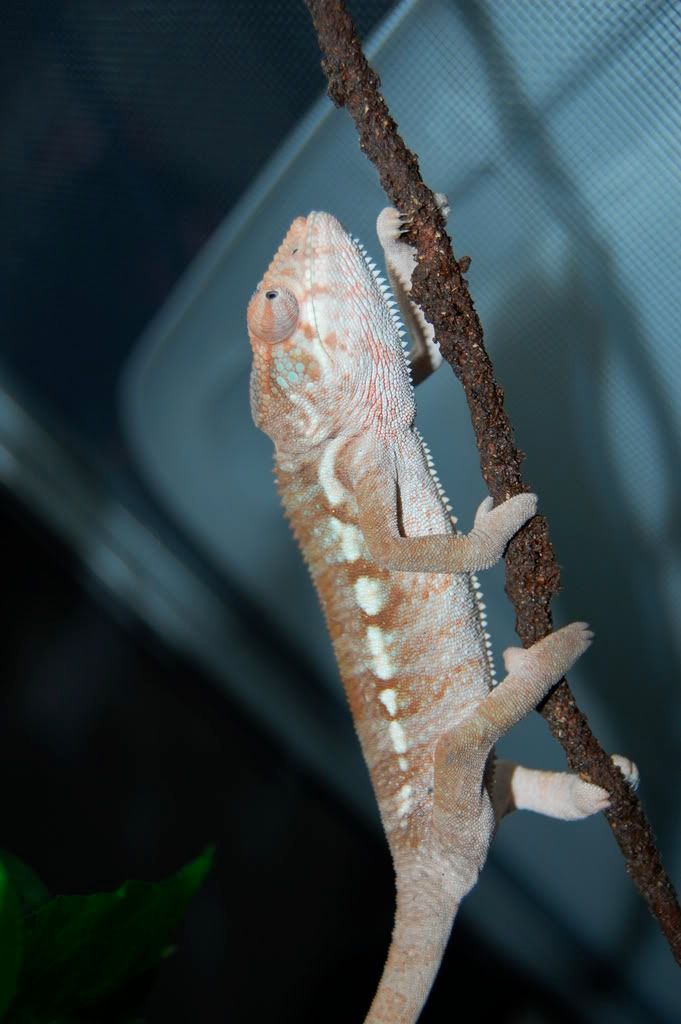 DSC_1032.jpg