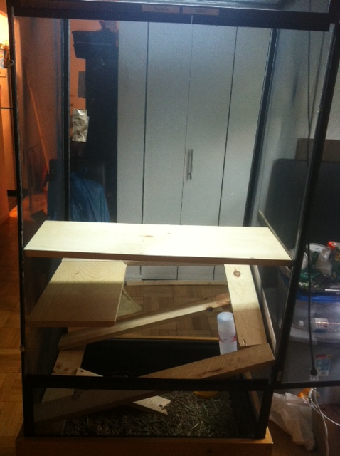 shelf1_zpsaf4ec08e.png