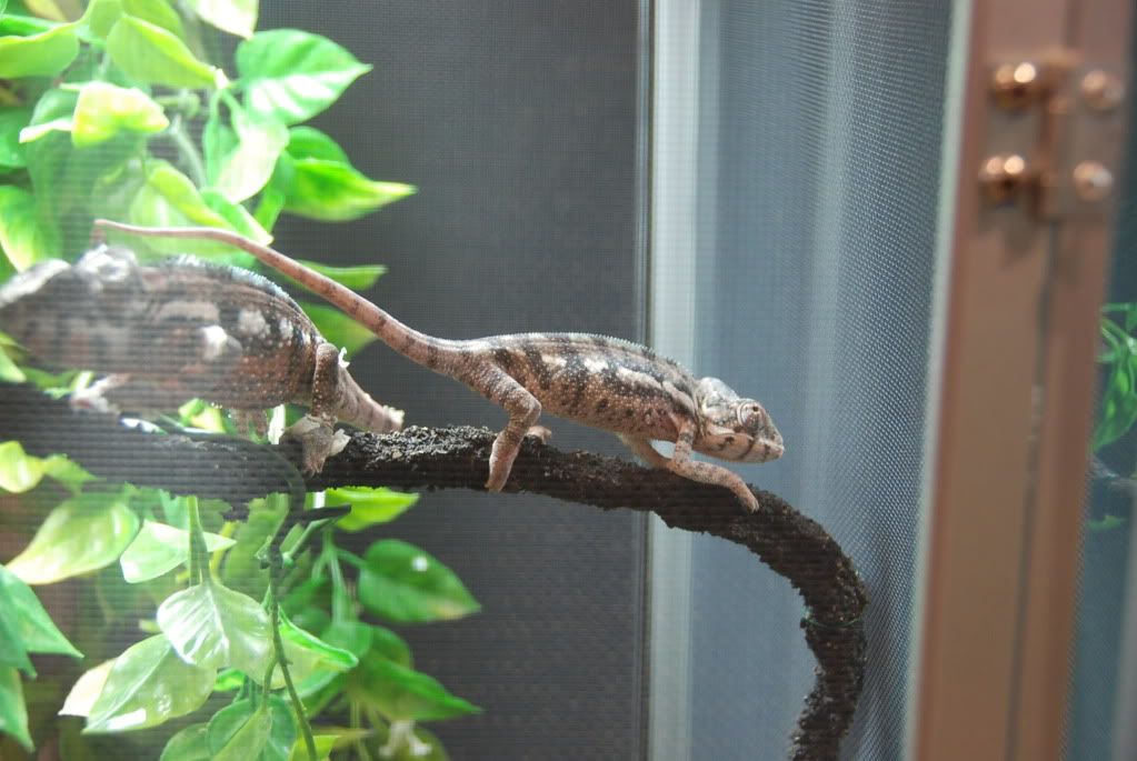 summer20111236.jpg