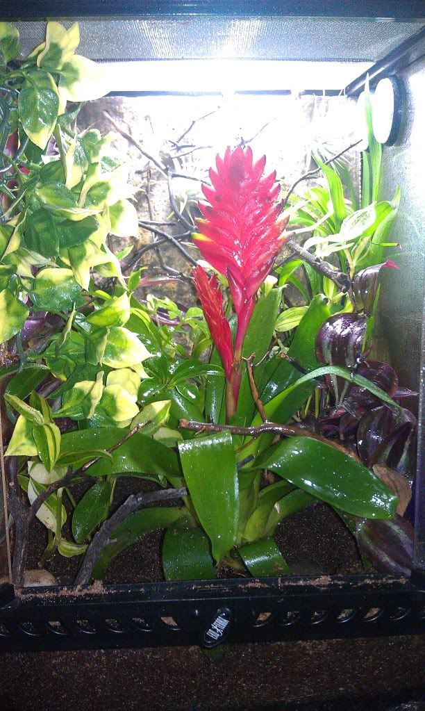 IMAG0279.jpg
