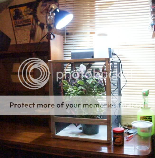 mychamsetup.jpg