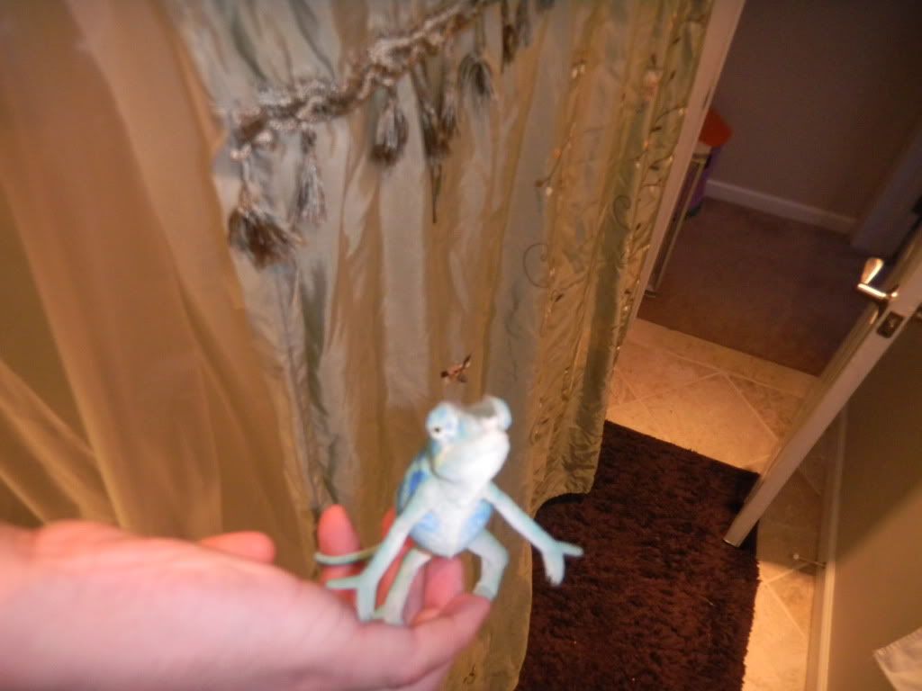 DSCN0315.jpg