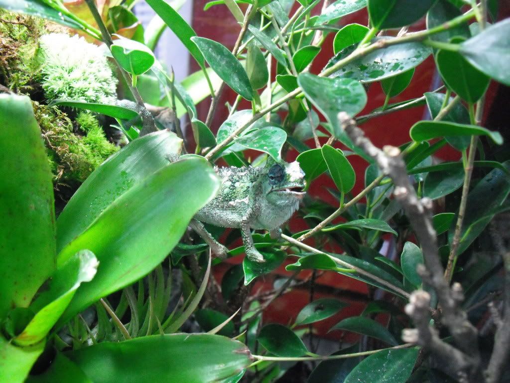 DSCF0113.jpg