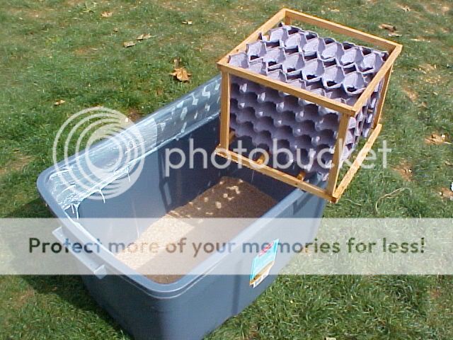 roach-setup-2.jpg