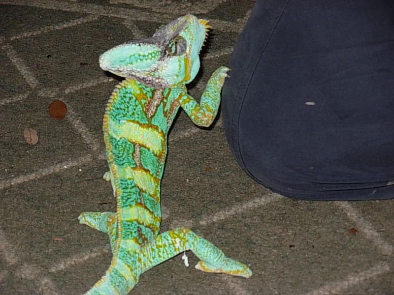 DSCN4563.jpg