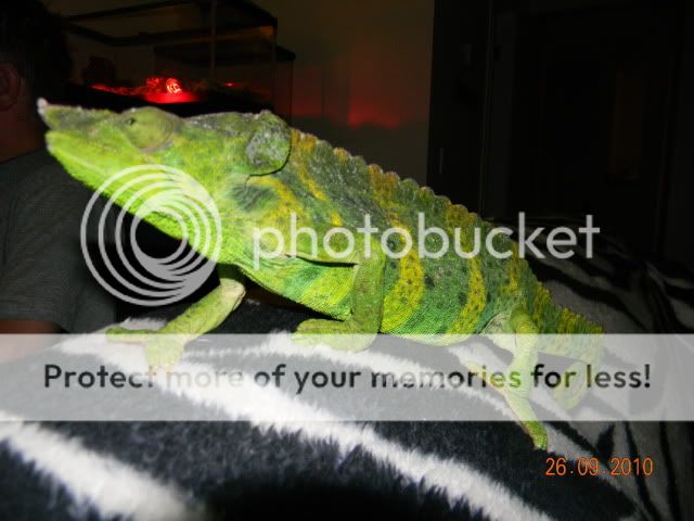 20100926_155.jpg