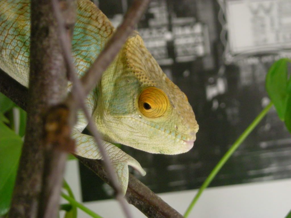 5MONTHOLDPARSONII011.jpg