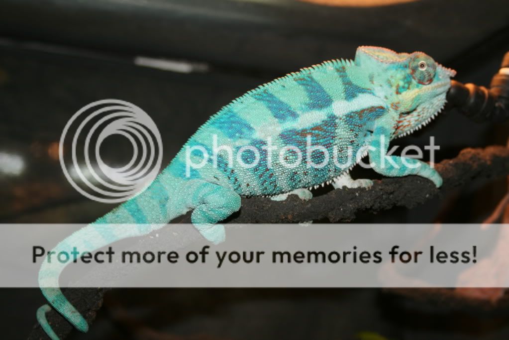 sunpics007.jpg