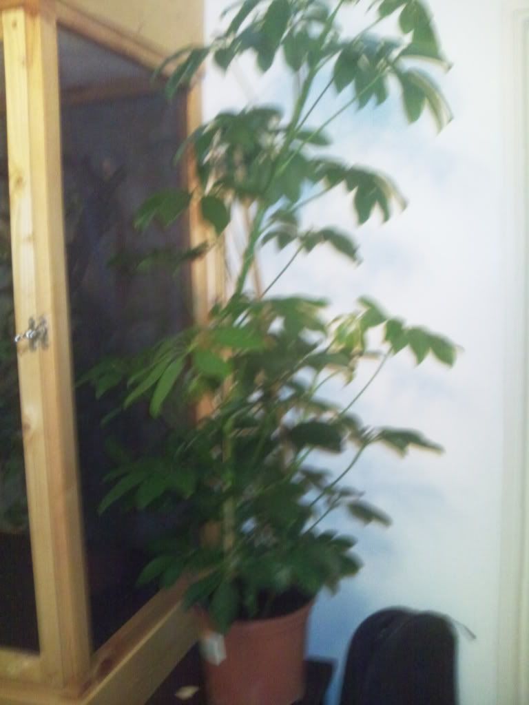 Photo0408.jpg