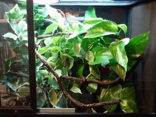 2011-06-07000320.jpg